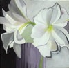 Wei�e Amaryllis 2011 | 50 x 50 cm | �l/Lw.
