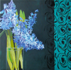 Hyazinthen mit t�rk. Rand 2008 | 50 x 50 cm | �l/Lw.